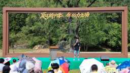 图片默认标题