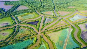 红树林面积全国第一，广东省启动2025年湿地保护宣传周